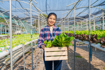 Pretty asia female smart farmer working with organic vegetables in the vegetable greenhouse. hydroponic vegetable garden woman smart farmer concept.