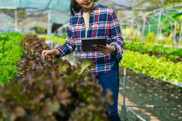 Pretty asia female smart farmer working with organic vegetables in the vegetable greenhouse. hydroponic vegetable garden woman smart farmer concept.