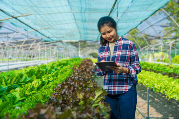 Pretty asia female smart farmer working with organic vegetables in the vegetable greenhouse. hydroponic vegetable garden woman smart farmer concept.