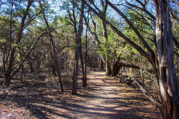 A beautiful and peaceful footpath through the shadowy woods on a trail in Abilene State Park Texas