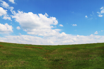 green grass pasture grazing field farm grassland farming usa plains countryside