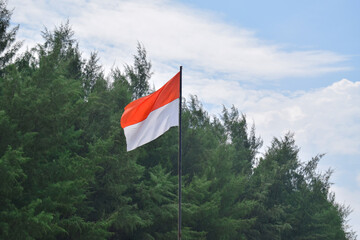 Indonesian Flag, Red and White, waving in the wind with background fir trees and blue sky