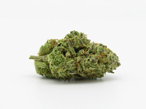 Snow Monster Cannabis Strain Marijuana Flower