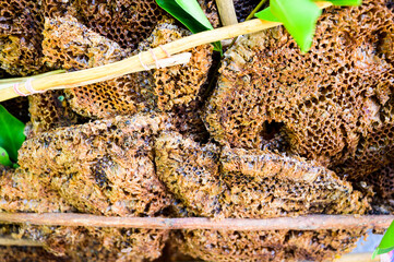 Wild honeycomb at the flea market