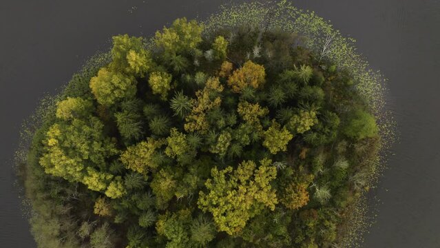 Close-up drone of lonely island with a forest in the middle of a lake (autumn)