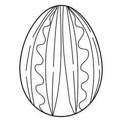 Sketch of Easter egg on white background