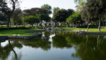Fototapeta na wymiar Laguna en parque con vegetación