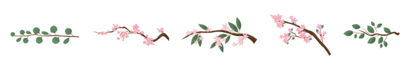 Set of spring tree branches with pink flowers and green leaves on white background © Pixel-Shot