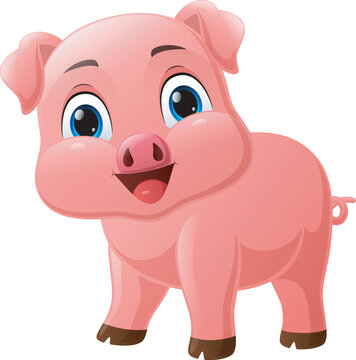 Cute little pig cartoon on white background