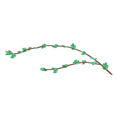 Beautiful spring tree branch on white background