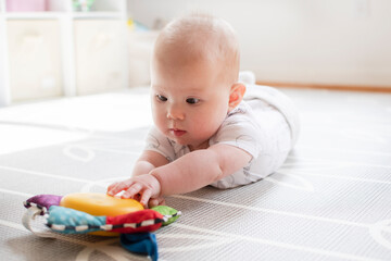 Little baby girl is playing with a toy during tummy time. Baby reaching for a musical toy. Baby...