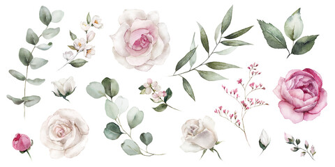 Watercolor floral illustration elements set - green leaves, pink peach blush white flowers, branches. Wedding invitations, greetings, wallpapers, fashion, prints. Eucalyptus, olive, peony, rose. - 566865707