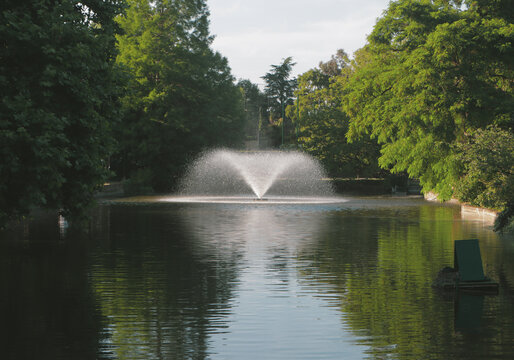 Peaceful Foutain