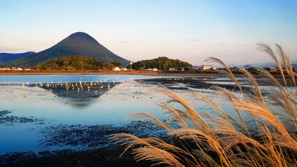 秋の宮池・野鳥【香川県丸亀市土器町】