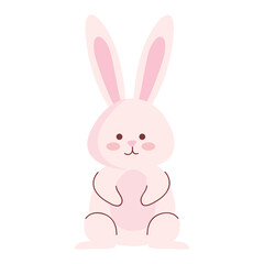 cute rabbit pink front