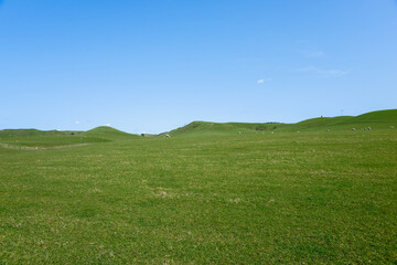 Rural background  wide green field under blue sky