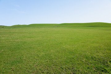 Rural background  wide green field under blue sky