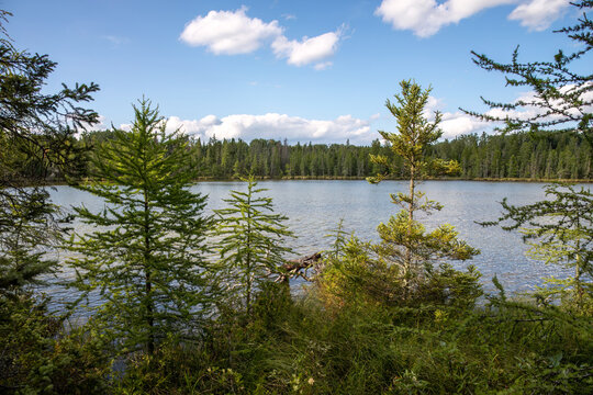 Wilderness lake in forest of northern Minnesota