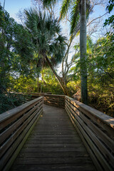 Fototapeta na wymiar Elevated boardwalk at Green Cay Nature Center and Wetlands in Boynton Beach, Florida on clear cloudless sunny morning.