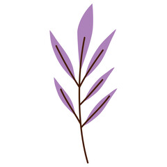 branch with purple leafs