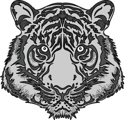 grey tiger head vector illustration