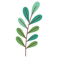 branch with leafs plant