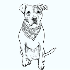 Vintage hand drawn sketch Staffordshire Bull Terrier