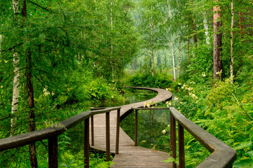 Summer landscape. A wooden path through a forest lake.