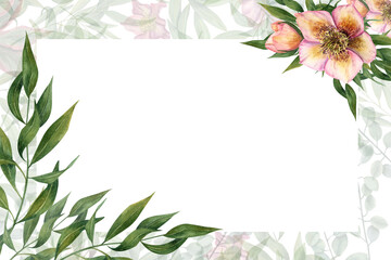 Watercolor card flower card with hellebores. Template for postcard, Save the date, Valentine's day, birthday and mothers day cards, wedding invitation
