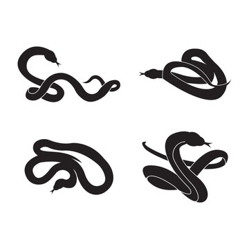 Snake logo vector icon illustration on flat design
