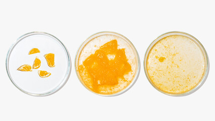 Petri dishes with orange research. Cut orange, research in the laboratory. Bioengineering, laboratory.