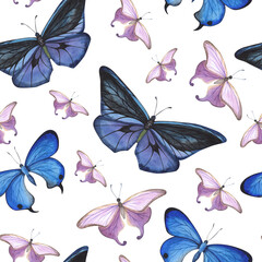 Obraz na płótnie Canvas seamless pattern Blue and violet butterfly isolated on white. Watercolor hand drawn insect llustration for design