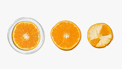 Petri dishes with orange research. Cut orange, research in the laboratory. Bioengineering, laboratory.
