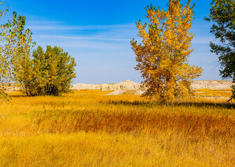Fall Color on The Castle Trail,  Badlands National Park, South Dakota, USA