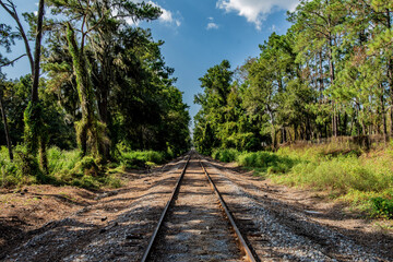 railway in the forest