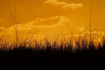sunset over sand dunes at the beach
