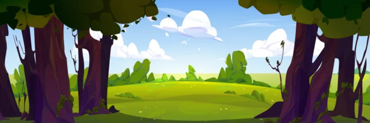 Fotobehang Summer forest landscape with green trees, bushes, grass. Nature park scenery, countryside panorama with trees and meadows on sunny day, blue sky with white clouds vector cartoon illustration © klyaksun