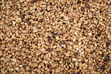 Coffee Processing ,Natural Dry Process ,Pulped-natural, Semi-dry Process ,Honey Process, Cherry coffee beans, yellow coffee ripeness dry . 