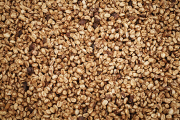 Coffee Processing ,Natural Dry Process ,Pulped-natural, Semi-dry Process ,Honey Process, Cherry coffee beans, yellow coffee ripeness dry . 