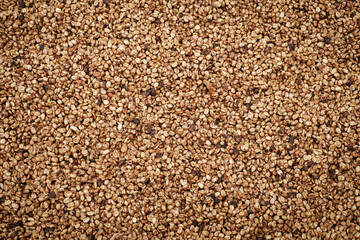 Coffee Processing ,Natural Dry Process ,Pulped-natural, Semi-dry Process ,Honey Process, Cherry coffee beans, yellow coffee ripeness dry . 