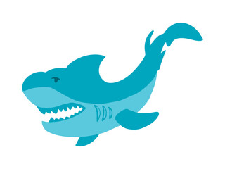 shark Fish Cartoon Design Illustration
