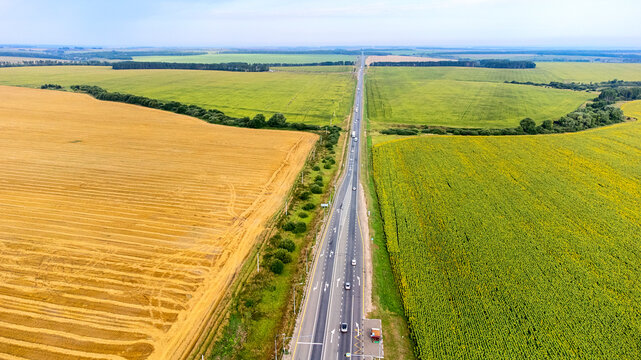 field road view from the top, sunflower field on a bright day © Антон Скрипачев