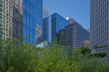 Fototapeta premium skyscrapers in downtown San Francisco