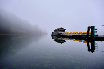 fog on the lake