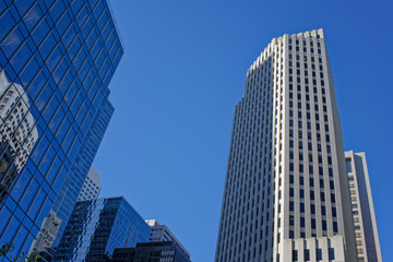 skyscrapers in the city