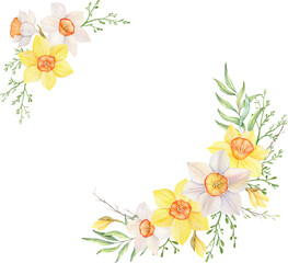 Watercolor wreath of yellow and white daffodils. Hand painted  frame illustration with spring flowers isolated png