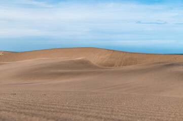 Fototapeta na wymiar sanddune rippling surface of dry sand dune