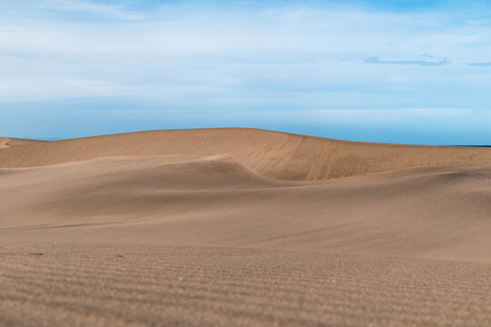sanddune rippling surface of dry sand dune © EVOGRAF.MX