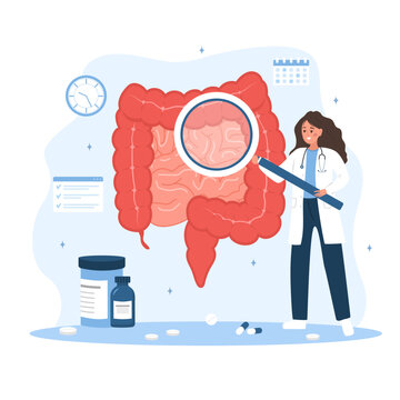 Proctologist concept. Female doctor with magnifier examine intestine. Woman in lab coat analysis perianal area. Medical check up. Vector illustration in flat cartoon style. Colon diseases.