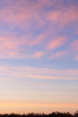 Naklejka na ściany i meble Sunset sky with pink and gray clouds